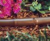Why Should I Consider Drip Irrigation in My Landscape?